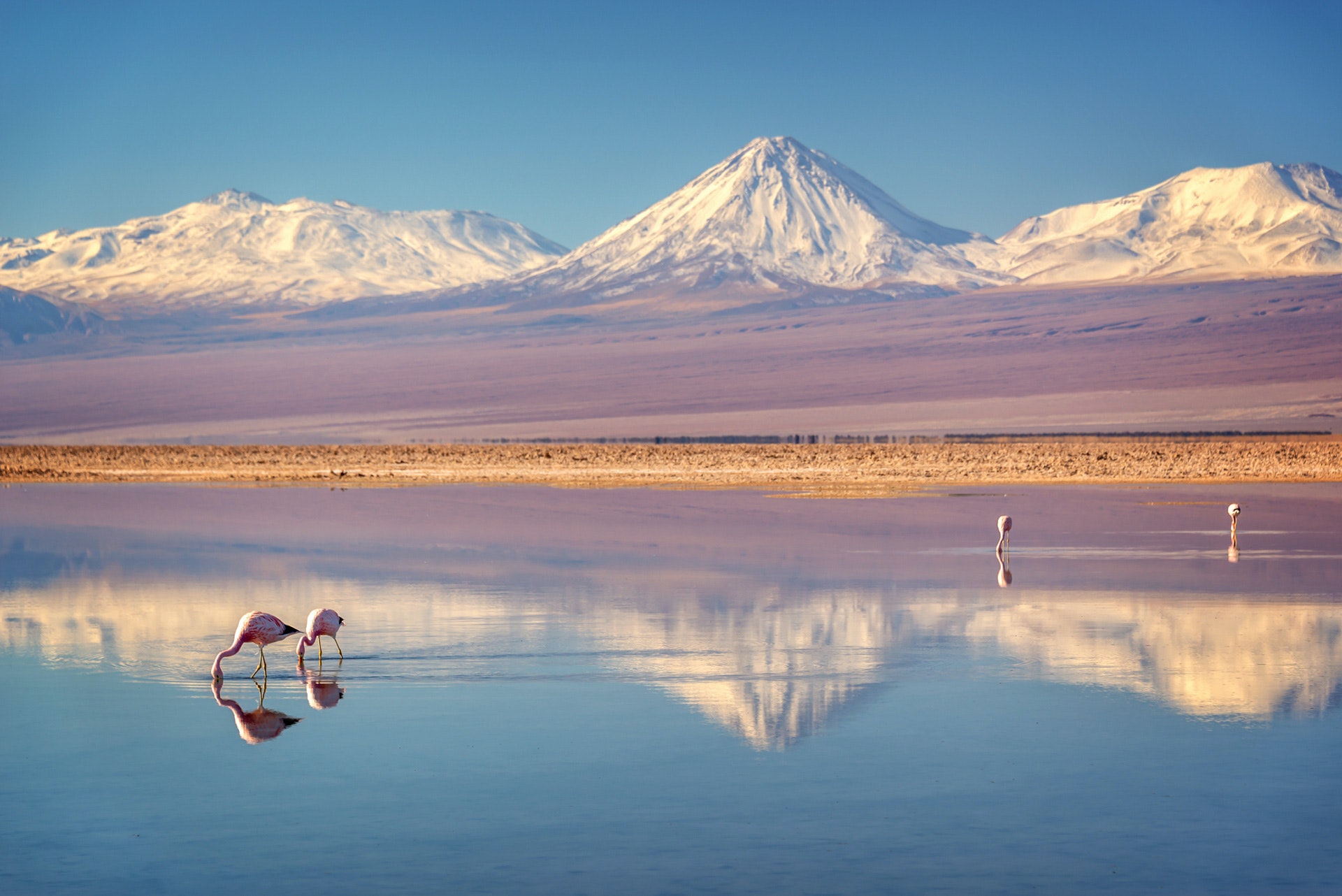 San Pedro de Atacama